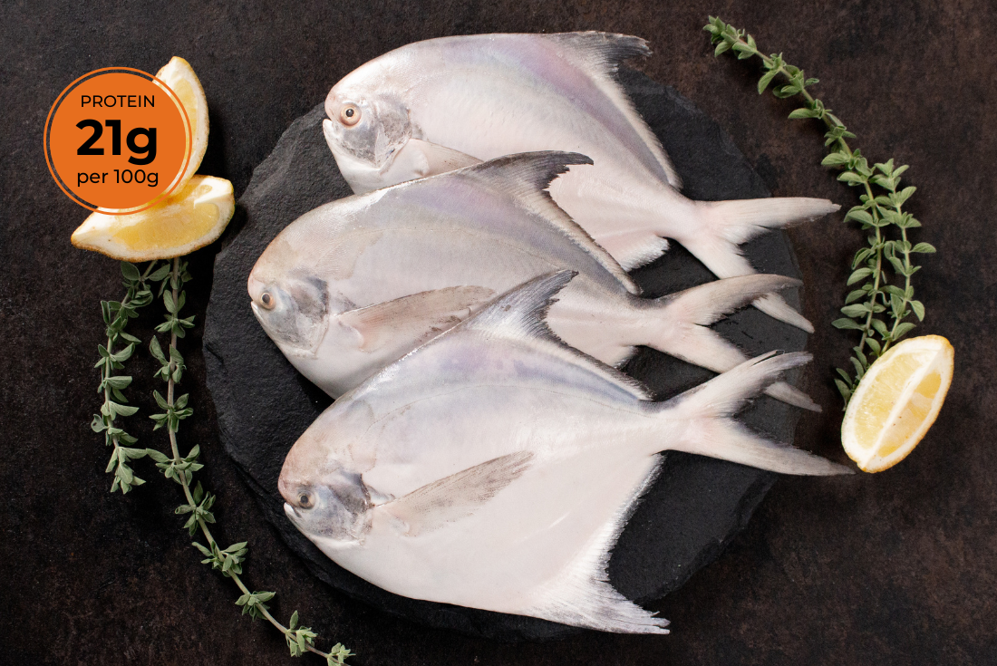 White Pomfret — premium seafood